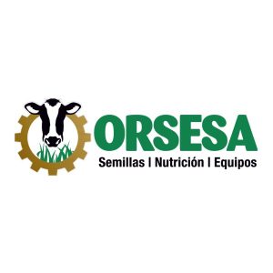 orsesa_logo